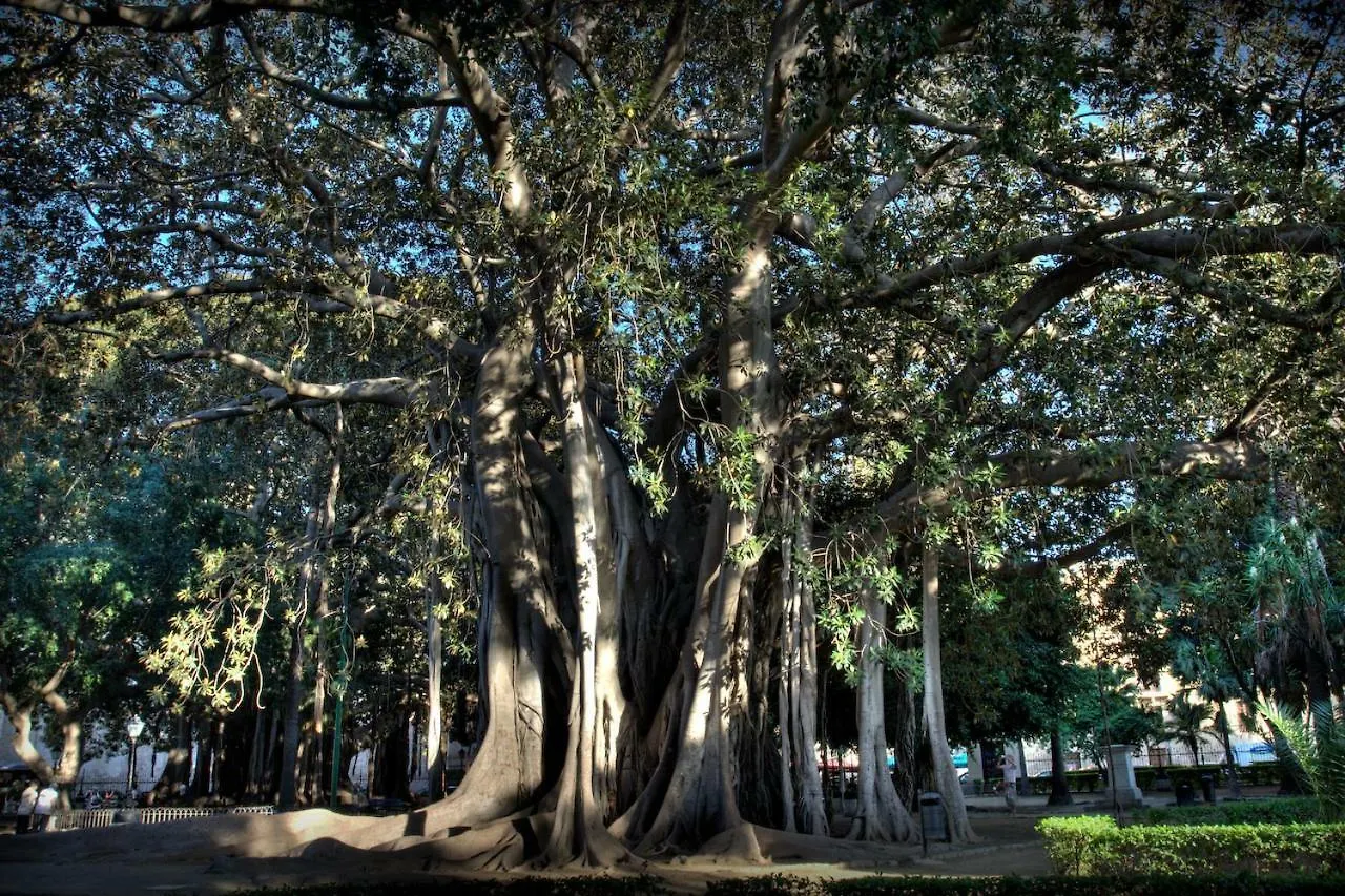 Casa Calamaro location